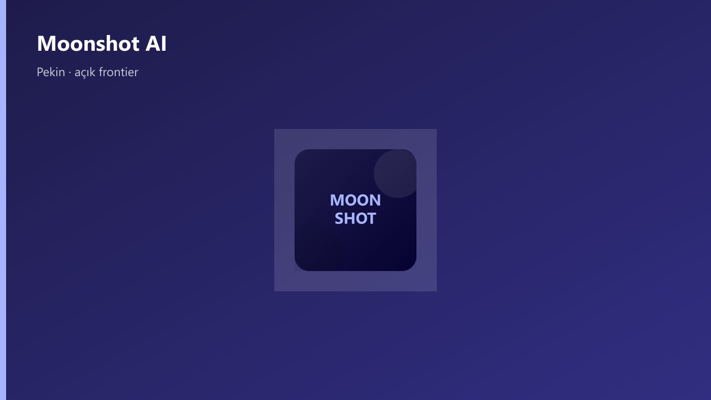 Moonshot AI marka kartı
